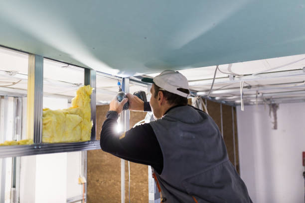 Best Residential Insulation in Cole Camp, MO