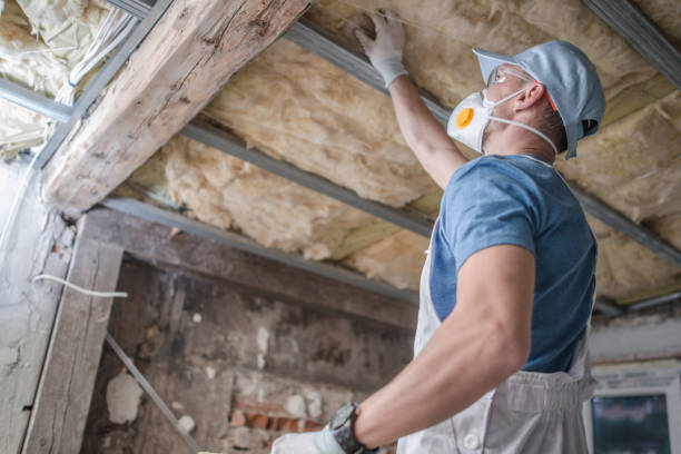 Best Insulation for Specific Applications in Cole Camp, MO