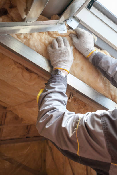 Types of Insulation We Offer in Cole Camp, MO