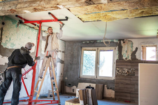 Best Spray Foam Insulation in Cole Camp, MO