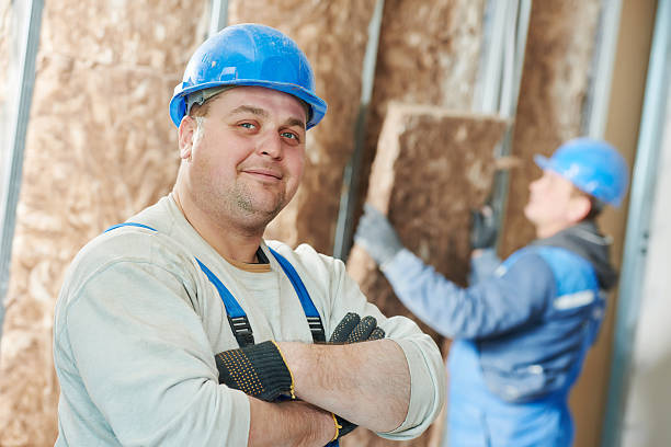 Best Commercial Insulation in Cole Camp, MO