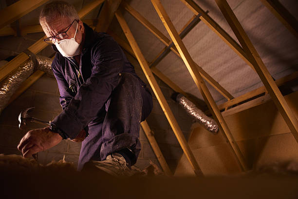 Best DIY Insulation Kits and Guidance in Cole Camp, MO