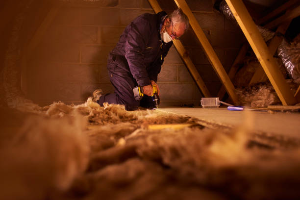 Best Specialized Insulation Services in Cole Camp, MO
